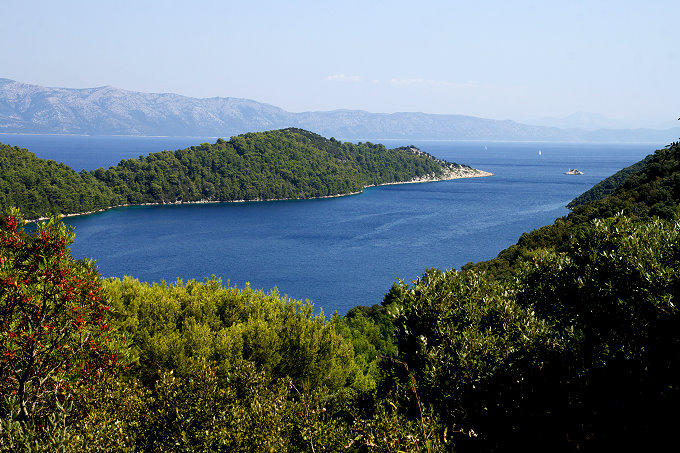 Mljet Insel 2